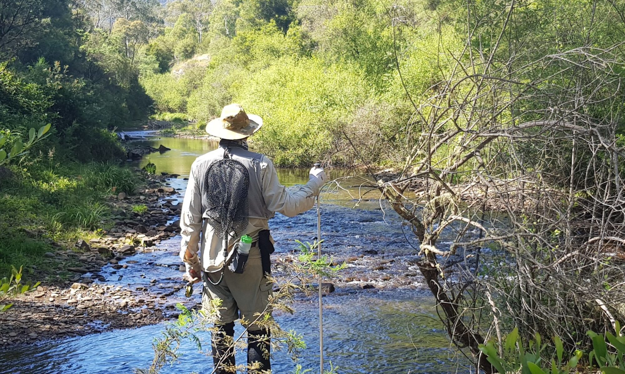 Southern Fly Fishers Australia Inc.